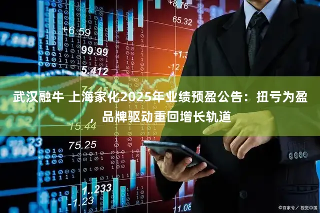 武汉融牛 上海家化2025年业绩预盈公告：扭亏为盈，品牌驱动重回增长轨道
