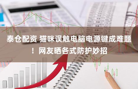 泰仓配资 猫咪误触电脑电源键成难题！网友晒各式防护妙招