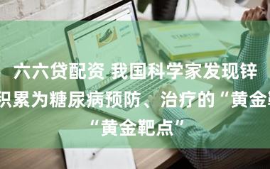 六六贷配资 我国科学家发现锌离子积累为糖尿病预防、治疗的“黄金靶点”