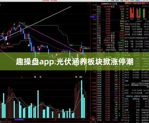 趣操盘app 光伏涵养板块掀涨停潮