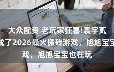 大众配资 老玩家狂喜!寰宇贰经典版成了2026最火搬砖游戏，旭旭宝宝也在玩