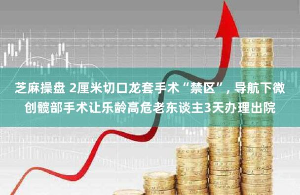 芝麻操盘 2厘米切口龙套手术“禁区”, 导航下微创髋部手术让乐龄高危老东谈主3天办理出院