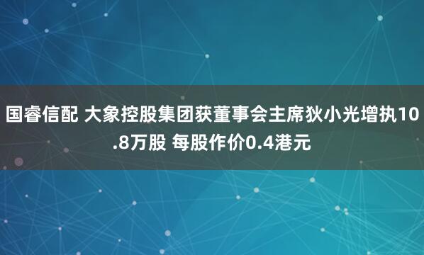 国睿信配 大象控股集团获董事会主席狄小光增执10.8万股 每股作价0.4港元