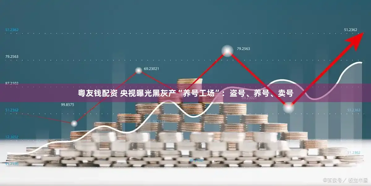 粤友钱配资 央视曝光黑灰产“养号工场”：盗号、养号、卖号