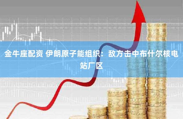 金牛座配资 伊朗原子能组织：敌方击中布什尔核电站厂区