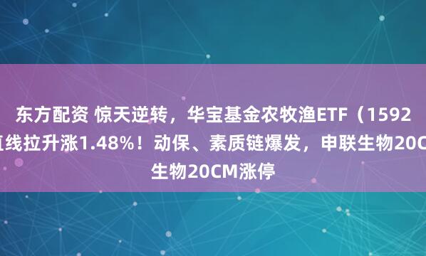 东方配资 惊天逆转,华宝基金农牧渔ETF(159275)直线拉升涨1.48%!动保、素质链爆发,申联生物20CM涨停