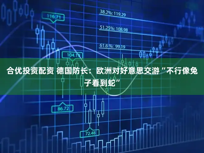 合优投资配资 德国防长：欧洲对好意思交游“不行像兔子看到蛇”