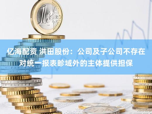 亿海配资 洪田股份：公司及子公司不存在对统一报表畛域外的主体提供担保